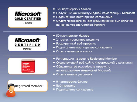 Структура партнерской сети Microsoft до июля 2009 г.