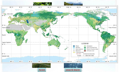 Набор данных GlobeLand30 содержит подробную информацию о землепользовании и растительном покрове планеты