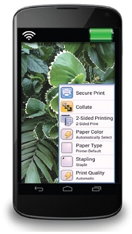 Xerox Print Service предлагает гибкую систему настроек