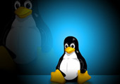 Государство переходит на Linux?