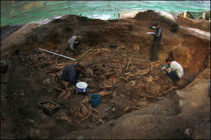 Неизвестные клады: что нашли российские археологи в 2010 году 