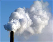 Случайное открытие того, как морские ежи используют частицы никеля для извлечения СО2 и наращивания экзоскелета, может стать ключом к утилизации огромного количества парникового газа из атмосферы. 