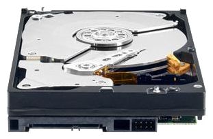 Western Digital WD1003FBYX - описание
