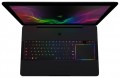 Razer ������� Razer Blade Pro 17.3 (Full HD) (Intel Core i7 7700HQ 2800 MHz/17.3