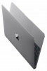 Apple MacBook Early 2016  Intel Core m5 1200 MHz 12 0 2304x1440 8 0Gb 512Gb SSD DVD  Intel HD Graphics 515 Wi-Fi Bluetooth MacOS X 