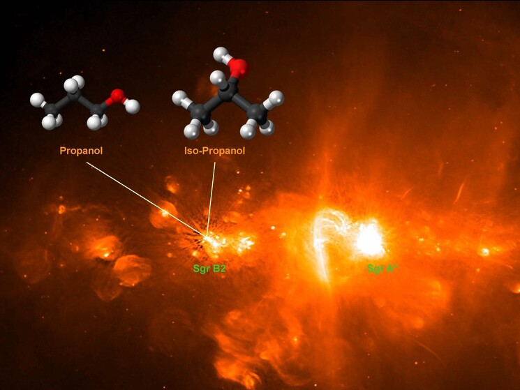 В центре Млечного Пути в 2022 году нашли крупнейшую в космосе молекулу спирта. Она находится в газопылевом облаке недалеко от сверхмассивной черной дыры.

Астрономы впервые нашли изопропанол и его изомер пропанол-1 в межзвездной среде. С помощью телескопа ALMA они наблюдали за горячим ядром Sgr B2(N2) в гигантском молекулярном облаке Стрелец В2, расположенном недалеко от центра Млечного Пути. Там уже находили другие спирты (этанол, виниловый спирт и метанол), пропилцианид и этилформиат.

Ученые установили, что изопропанола и пропанола-1 в облаке в 600 и 350 раз меньше, чем метанола, и в 30 и 20 раз меньше, чем этанола, соответственно. При этом содержание изопропанола относительно его изомера составляет 0,6, что похоже на отношение изомеров для пропилцианида, который до этого нашли в ядре. Это указывает на сходство химических процессов, которые формируют эти семейства молекул. 

Астрономы считают, что пропанол рождается в ледяных оболочках пылинок в результате реакций фотодиссоциации между гидроксилом OH и пропиленом.

