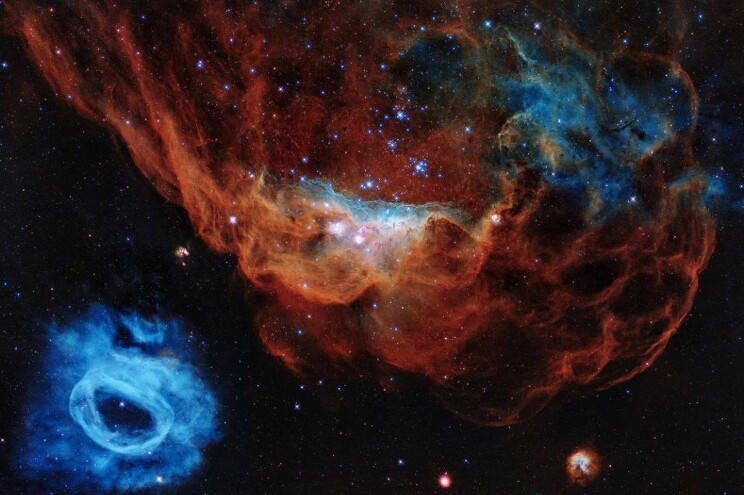 Две эмисионные туманности NGC 2014 и NGC 2020 расположены в Большом Магеллановом Облаке на 163 тыс. световых лет от нас. 

Благодаря своему внешнему виду эти объекты получили прозвище «Космический риф». Они светятся благодаря тому, что их вещество ионизируется излучением расположенных внутри них горячих молодых звезд.
