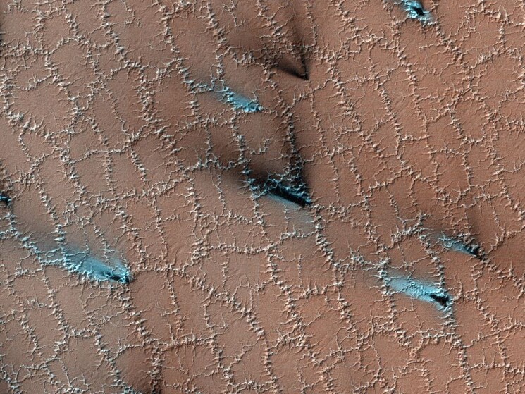 Сюрреалистическое фото многоугольных дюн Марса, похожих на соты

С орбиты этот пейзаж на Марсе выглядит как кружевные соты или паутина. Но необычные линии в форме многоугольников созданы не марсианскими пчелами или пауками. На самом деле они образуются в результате сезонных изменений из водяного льда и углекислого газа.

Водяной лед, застывший в почве, раскалывает землю на многоугольники. Затем сухой лед, сублимирующийся прямо из-под поверхности, когда земля прогревается весной, вызывает еще большую эрозию, создавая каналы. Многоугольники формируются в течение многих лет по мере того, как приповерхностный лед сжимается и расширяется в зависимости от сезона.
