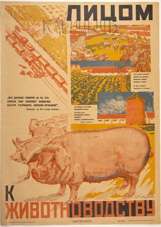 Плакат Кокорекина А. «Лицом к животноводству» (1930)