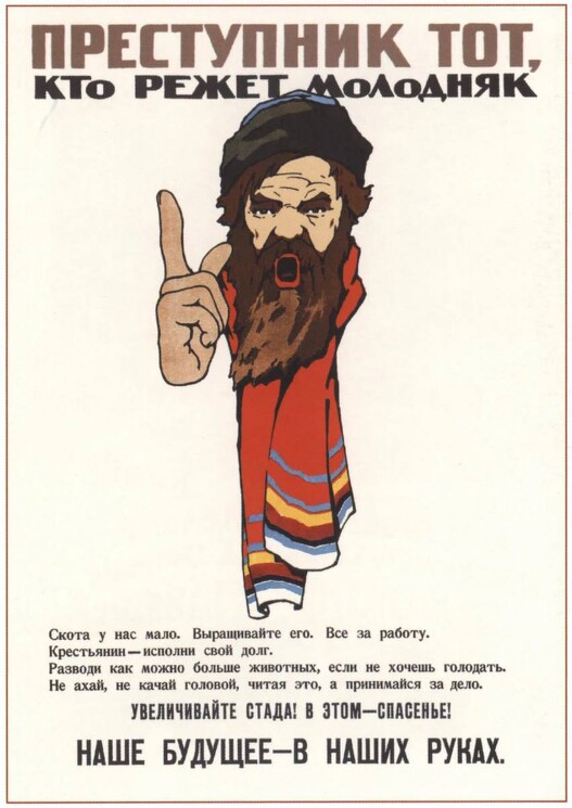 «Преступник тот, кто режет молодняк»
Плакат о необходимости увеличения поголовья стада.
Давыдов С., 1920 год.

