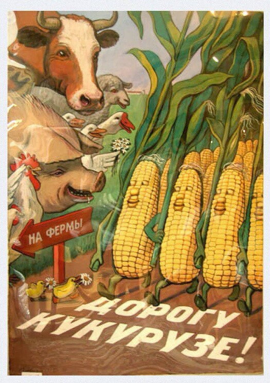 Плакат нарисован в период кукурузной кампании (попытка массового внедрения кукурузы в сельском хозяйстве СССР).
Говорков В. И., 1955 год.
