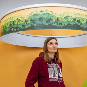 ������ � �������� �����������: �������� �������� ������ �� ������ ������