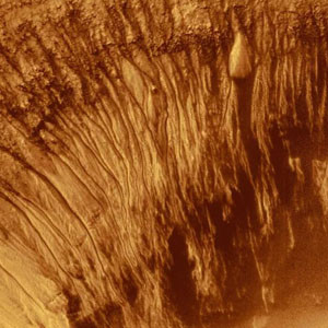 Впервые найдена убедительная схема форм жизни на Марсе: она не зависит от почвы и кислорода