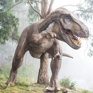 Тираннозавр Рекс гораздо больше, чем предполагали ученые