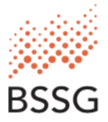 BSSG - Business Solutions & Service Group - БССГ