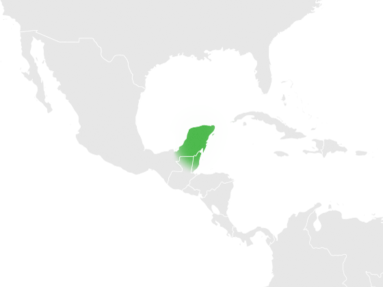Америка Центральная - Юкатан полуостров