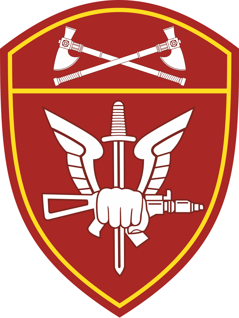 Росгвардия ОМОН - Отряд мобильный особого назначения - Отряд милиции особого назначения