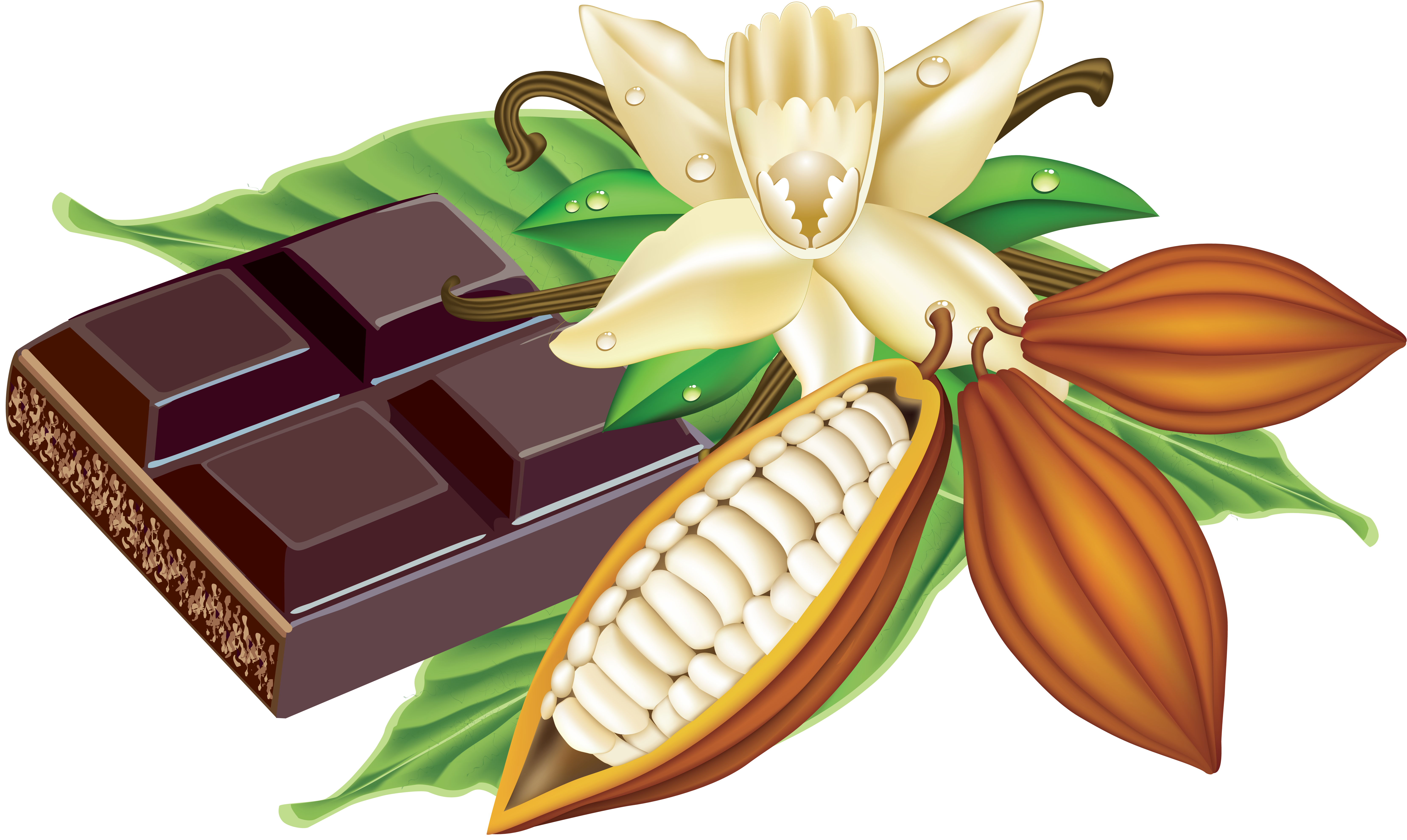 Пищевая промышленность - Шоколад - Chocolate