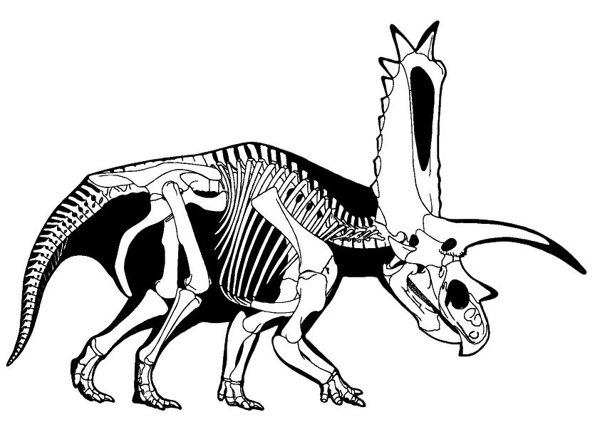 Палеонтология - Динозавры - Dinosauria - Dinosaurs