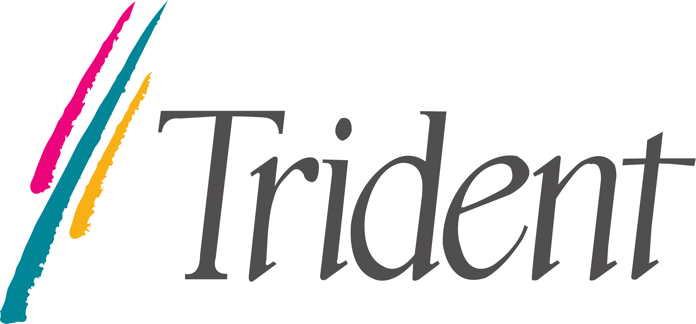 Trident Microsystems