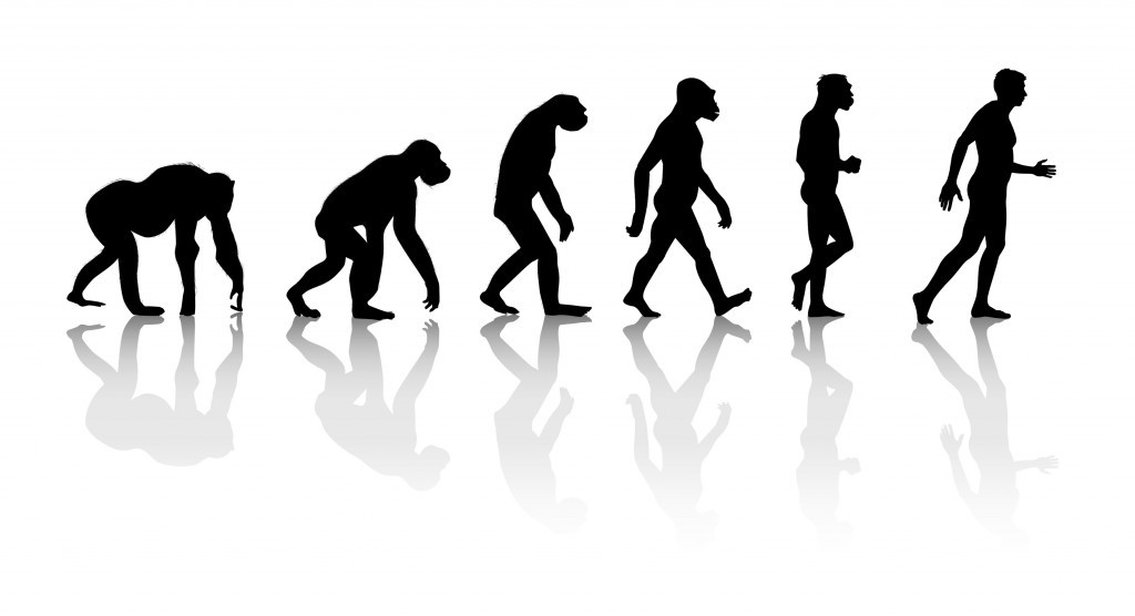 Homo Sapiens - Человек разумный - Humanity - Человечество