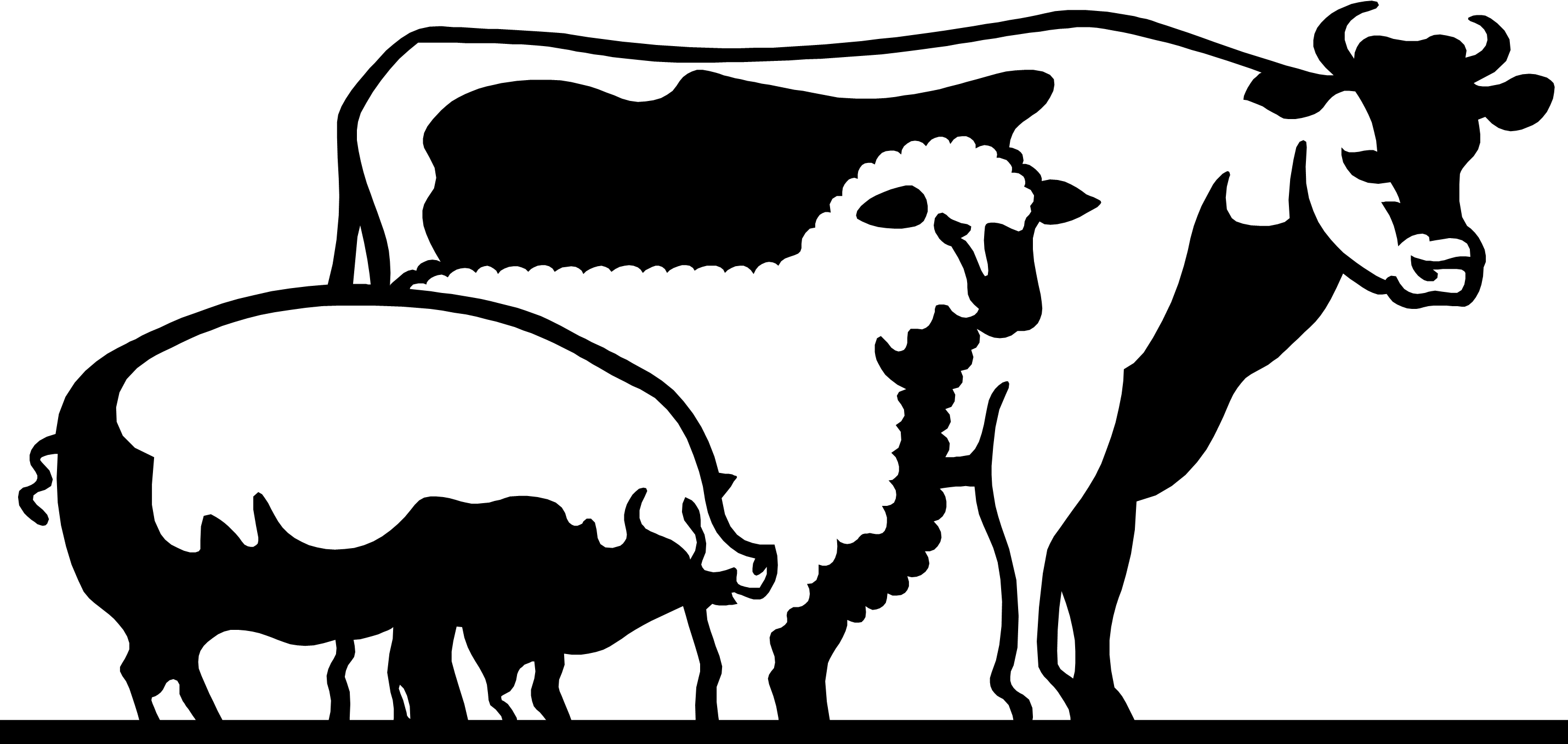 Сельское хозяйство - Животноводство - Animal husbandry - Мясная промышленность