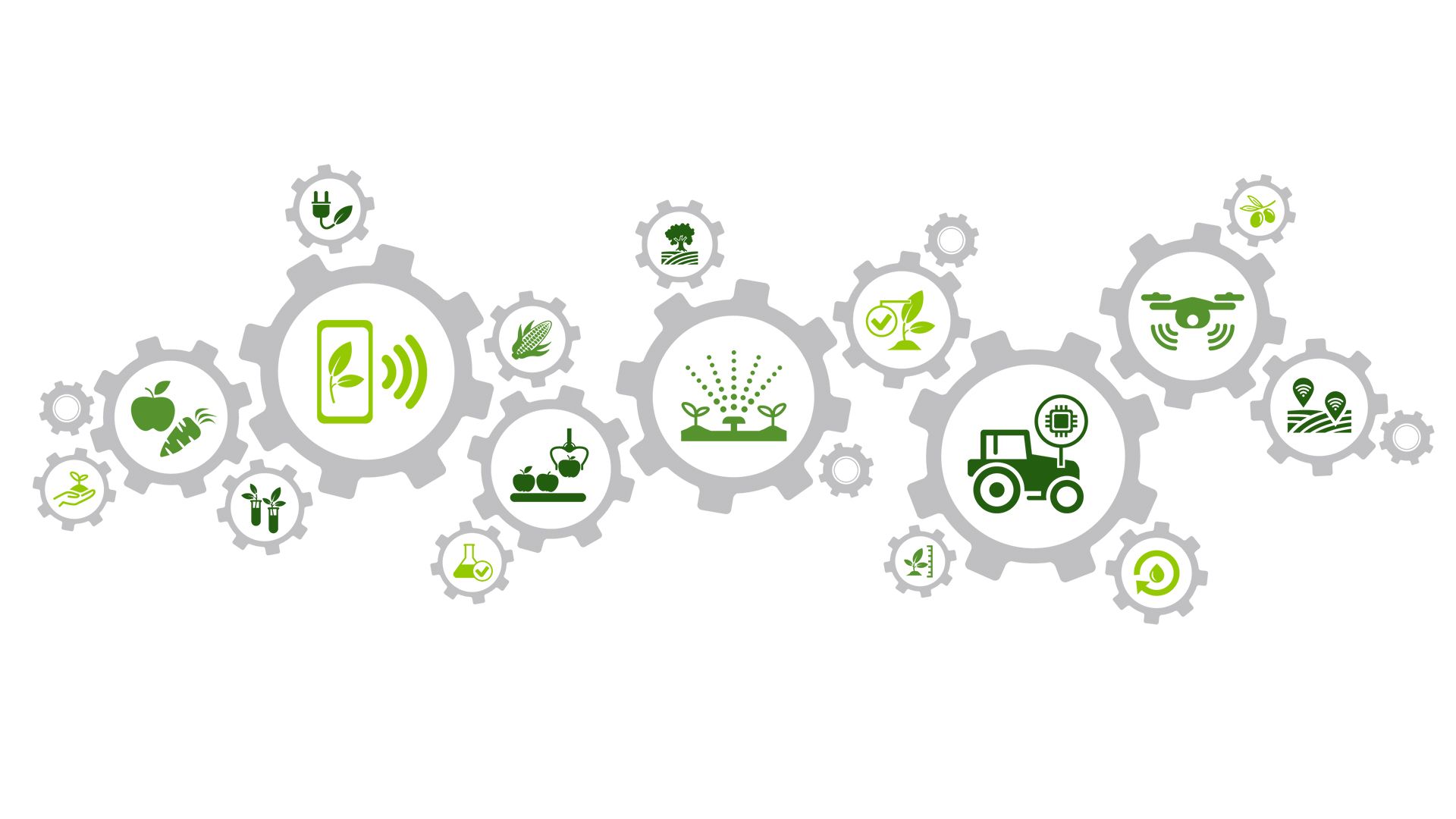 Сельское хозяйство - AgroTech - АгроТех - Цифровые технологии в сельском хозяйстве (агропромышленном комплексе)