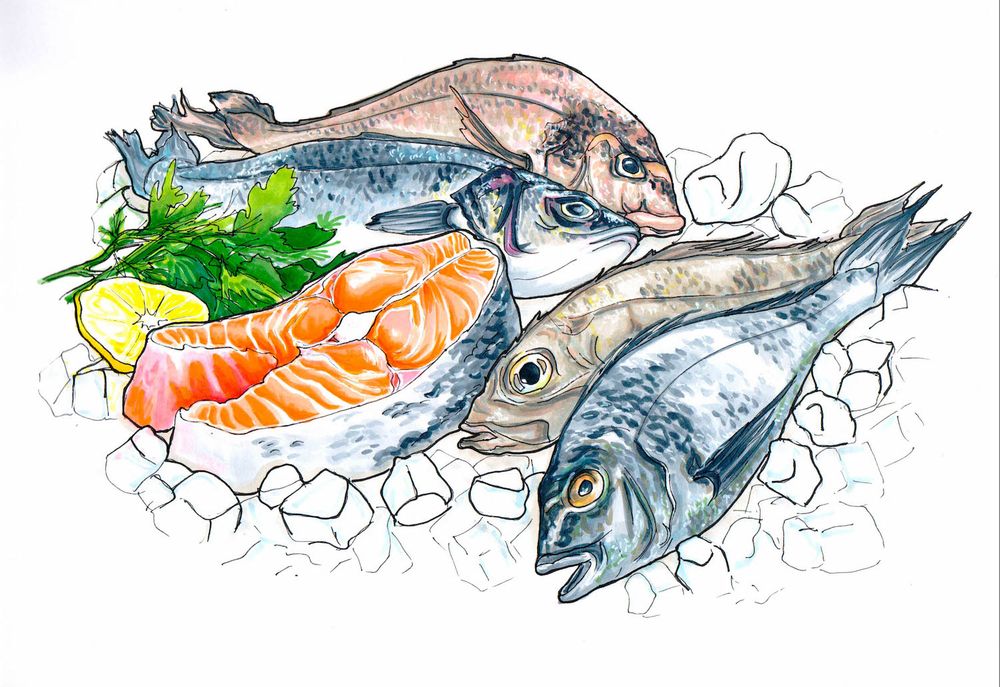 Пищевая промышленность - Рыбная промышленность - рыболовство