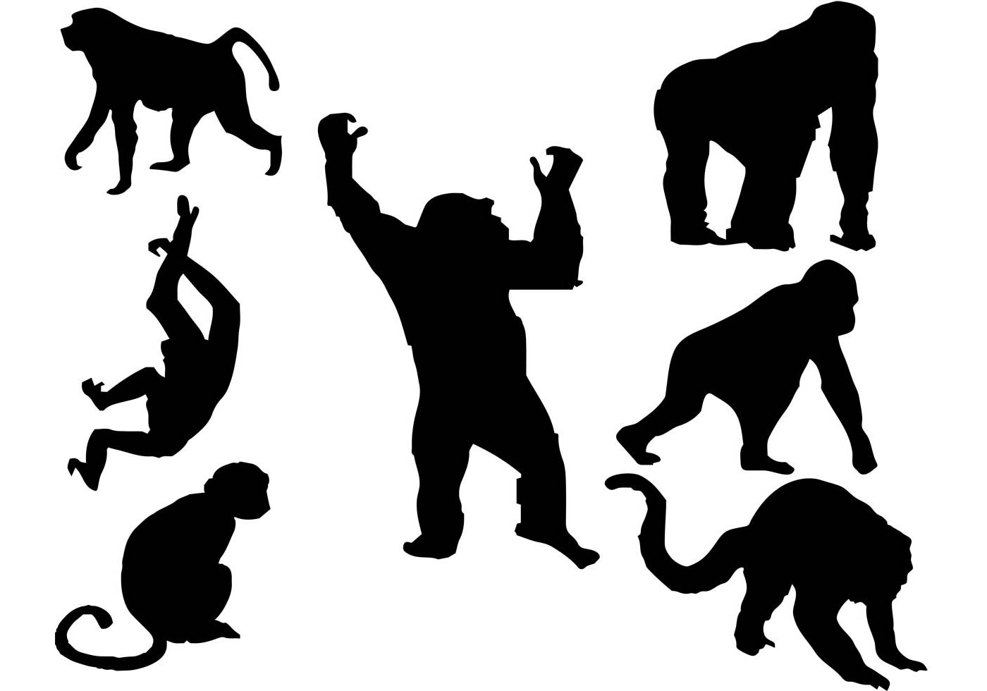 Приматы - Primates - отряд плацентарных млекопитающих (обезьяны и полуобезьяны)