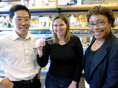 Слева направо: профессоры Юэт-Мин Чиан (Yet-Ming Chiang), Анджела Белчер (Angela Belcher) и Пола Хаммонд (Paula Hammond) демонстрируют полученную из вируса пленку, которая может служить анодом батареи