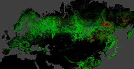 Для получения окончательной характеристики лесных массивов и динамики изменений было обработано более 650 000 космических снимков, сделанных спутником Landsat 7