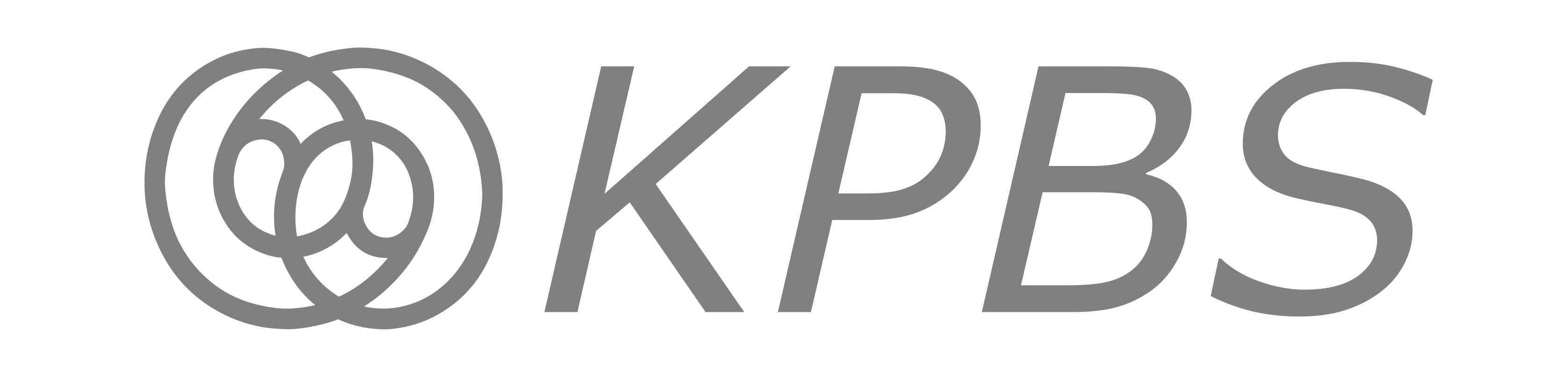 KPBS - Krikunov & Partners Business Systems - КПБС - Крикунов и Партнеры Бизнес Системы