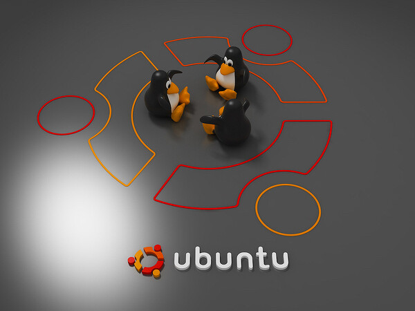 ubuntu6001.jpg