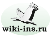 www.wiki-ins.ru