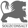 souzconsalt.com