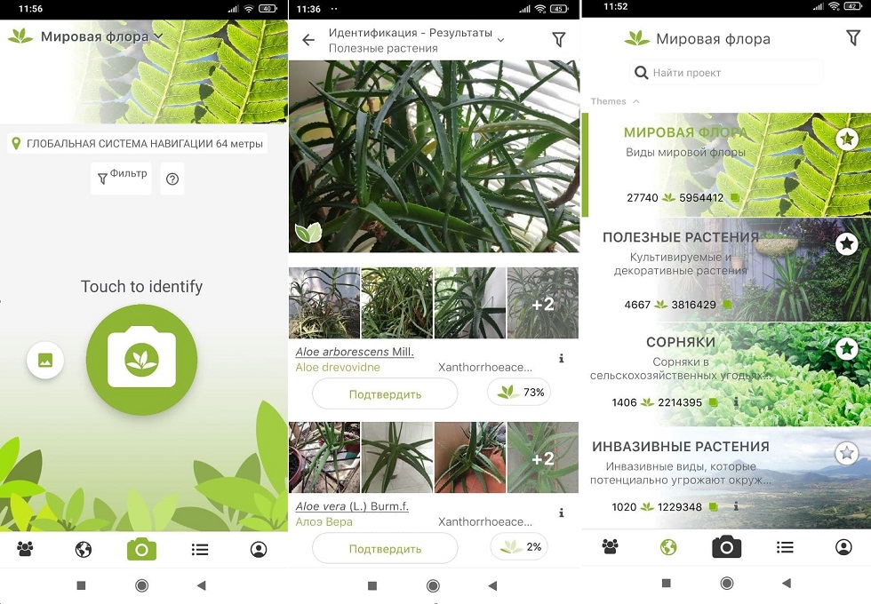Распознать траву по фото онлайн бесплатно без регистрации