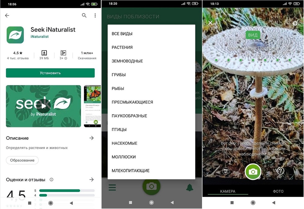 Приложение для распознавания грибов по фото для андроид