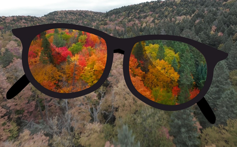 Как работают очки Colorblinded