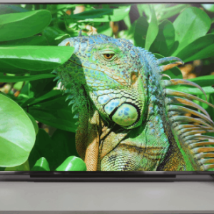 ����� �� DIGMA PRO QLED 65L: ������������� ��������� ��� ���� �����