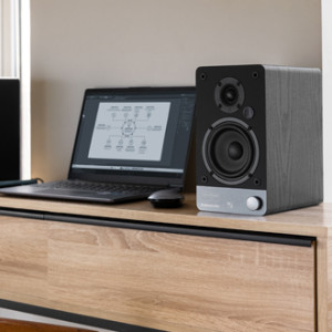 Обзор акустической системы Radiotehnika S-10NA: возрождение легенды в современном формате