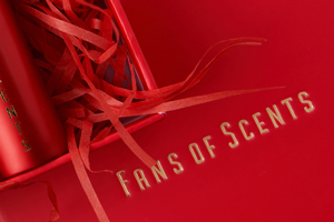 Интервью с главой компании Fans Of Scents: как ИИ помогает выбрать «правильный» аромат